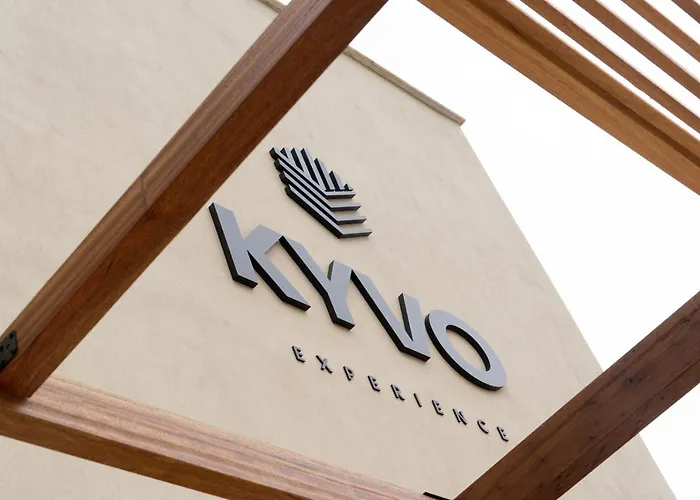 Kyvo Experience